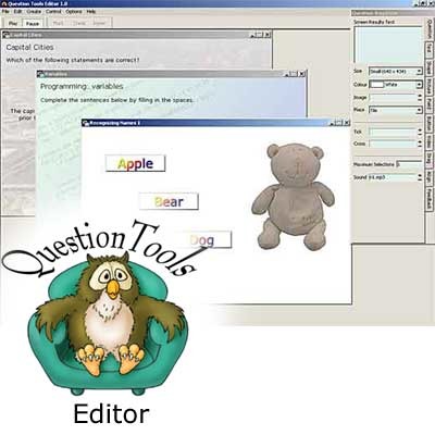 Question Tools Editor Screenshot
